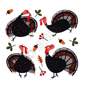 感恩节矢量元素的收集欢快的火鸡,秋天的叶子,橙色的南瓜,浆果橡子白色背景上的矢量插图感恩节物品火鸡,秋叶,橙图片