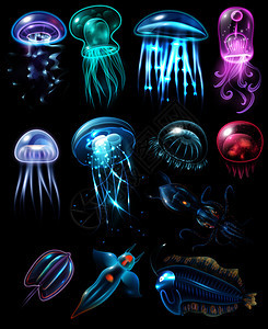 浅色多色时尚的水下动物图标鱼同的水母水扁矢量插图水下动物图标图片