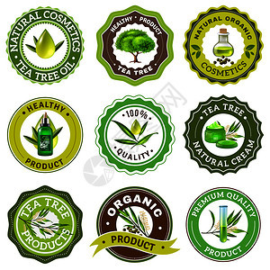 机高品质茶树产品标志包装白色背景现实矢量插图上茶树章套图片