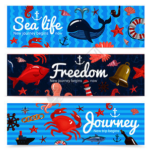 海上旅行水平横幅与航海元素水下野生动物纹理蓝色背景孤立矢量插图海上旅程水平横幅背景图片