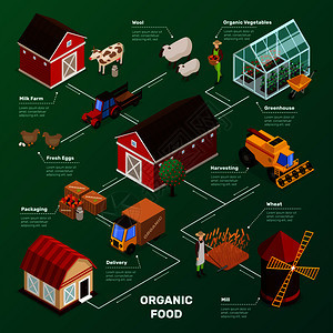 机农业产品等距图标流程图与农场动物,植物工人,农场建筑农业运输矢量插图农场食品生产流程图图片