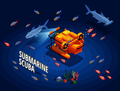 水肺潜水浮潜等距成与橙色浴袋包围同的鱼海藻与文本矢量插图潜水器等距背景图片