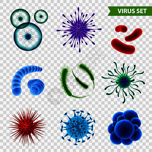 透明背景三维矢量插图上分离出同颜色形状的真实显微病透明背景集上的现实病图片
