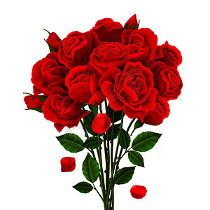 玫瑰花与红花绿叶现实矢量插图玫瑰花插图图片