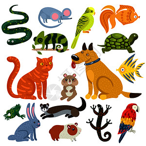 宠物五颜六色的图标与猫狗,鱼,啮齿动物,鹦鹉爬行动物矢量插图宠物五颜六色的图标图片