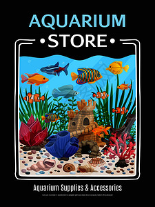 水族馆用品配件卡通海报与彩色图片的水下生命矢量插图水族馆商店海报图片