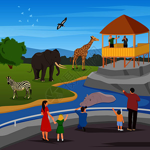 动物园平彩色构图,成人儿童寻找野生动物生活动物园矢量插图动物园平卡通构图图片