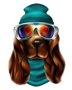 彩色逼真的猎犬狗滑雪服肖像与可爱的动物滑雪板设备矢量插图现实的猎犬狗滑雪服肖像图片