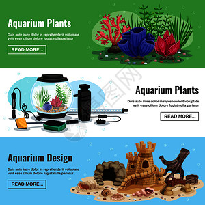 套水平横幅与水族馆植物元素,包括人工洞穴,贝壳分离矢量插图水族馆水平横幅图片