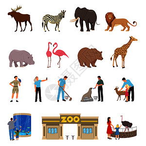 动物园平图标狮子,大象,长颈鹿,斑马,河马,海象,火烈鸟,山羊,鸵鸟,矢量插图动物园平图标图片