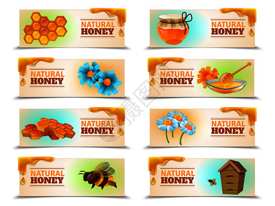 天然蜂蜜套水平横幅与蜜蜂蜂巢,蜂窝,花卉矢量插图天然蜂蜜水平横幅图片