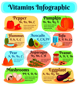 鹰嘴豆泥豆腐蔬菜水果蘑菇坚果平矢量图中含维生素的素食信息图素食信息图中的维生素图片
