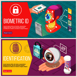 生物识别ID水平横幅与视网膜识别,访问控制部几何指纹隔离矢量插图生物识别ID水平横幅背景图片