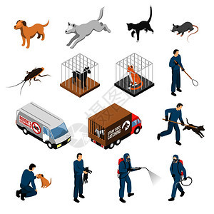 动物控制服务,捕捉徒步狗猫,与害虫等距隔离矢量插图动物控制服务等距集图片