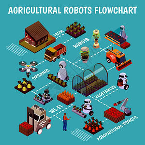 农业机器人等距流程图与现代农场的示意图与温室种子床Androids矢量插图的图像机器人畜牧农场流程图图片