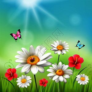 雏菊现实的三维构图花阳光下与蝴蝶甲虫矢量插图黛西现实的三维构图图片