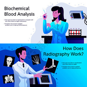 医疗保健2横横幅与生化血液测试放射学家与图片矢量插图医疗横幅图片