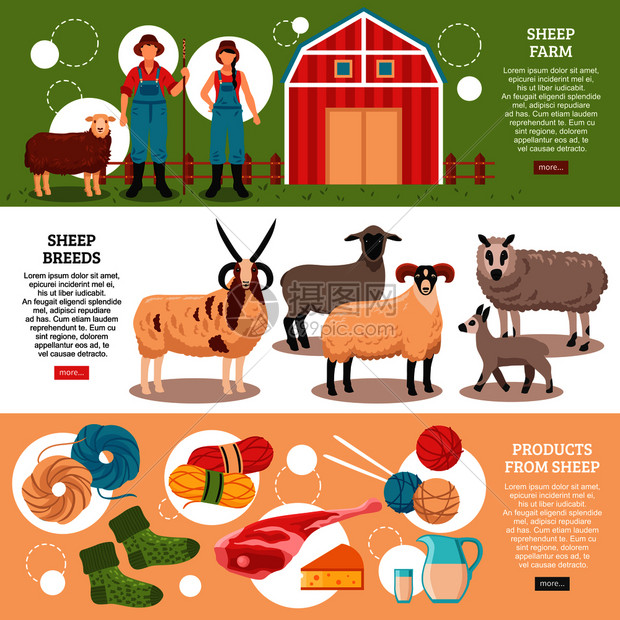 绵羊养殖场生产3平水平横幅网页与公羊母羊肉日记羊毛隔离矢量插图绵羊繁殖平板横幅图片