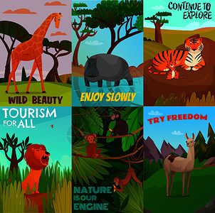 套卡通彩色卡片与野生外来动物生活丛林热带矢量插图野生动物卡片套图片