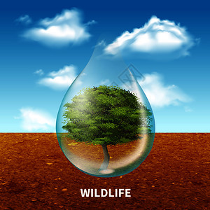 野生动物广告海报与绿树内巨大的水滴乡村景观背景现实矢量插图野生动物广告海报图片
