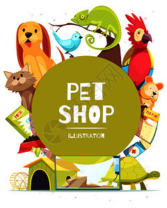 宠物店背景与绿色圆形框架,动物,食物,药物,狗的家水族馆矢量插图宠物店框架背景图片