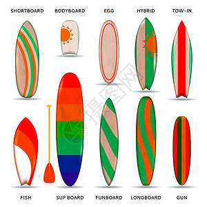 冲浪板彩色现实收集同的模型大小与描述矢量插图冲浪板彩色写实收藏图片