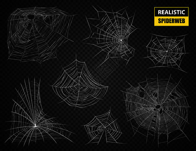 真实的白色复杂蜘蛛网的各种形式大小的黑暗透明背景矢量插图现实的蜘蛛网透明集图片