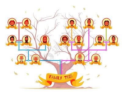 家族家谱信息图的亲属与颜色连接线树背景卡通矢量插图家族树信息图像化身背景图片