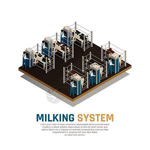 乳制品生产奶厂等距成与可编辑文本半自动挤奶操作矢量插图的视图挤奶操作工厂背景图片