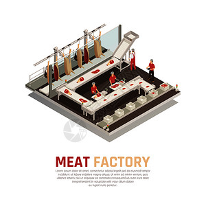 肉类工厂等距成与加工线胴体切割称重灌装盒矢量插图肉厂等距成分图片