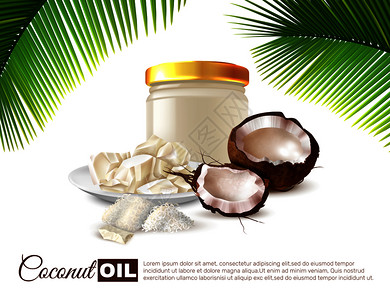椰子片椰子油写实海报与半坚果罐油棕榈叶白色背景矢量插图椰子油写实海报插画