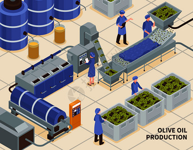 橄榄油生产现代自动化设施线等距成与采集的水果压榨提取工艺矢量图橄榄油生产等距图片