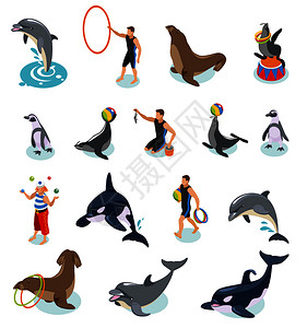 海洋马戏等距图标集海豹,海象,企鹅,海豚,虎鲸,动物驯兽师杂耍小丑矢量插图海洋马戏等距图标图片