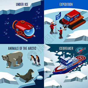 北极研究等距,探险,北方动物,冷冻水下的发现,破冰器,矢量插图北极研究等距图片