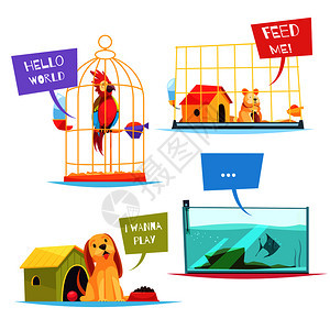 宠物店的理念与好玩的小狗,五颜六色的鹦鹉,饥饿的仓鼠,鱼水族馆矢量插图宠物店的理念图片
