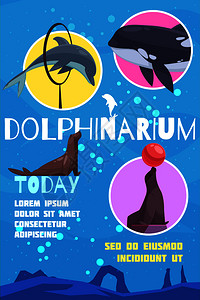 海豚馆海报与鲸目鱼的平图像与可编辑的文本标题水下背景矢量插图扁平海豚馆公告海报图片