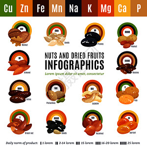 平信息关坚果干果的信息及其日常规范矢量插图坚果平信息图图片