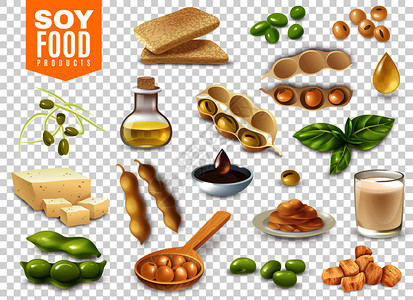 大豆食品透明套装图片