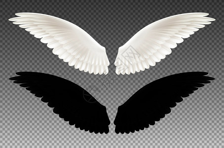 黑白翅膀透明套装图片