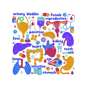 用于手术移植的人体器官医学手绘图标矢量插图制作卡通风格,五颜六色的医学手绘图标用于手术移植的人体器官卡图片