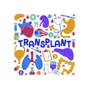 用于手术移植的人体器官医学手绘图标矢量插图制作卡通风格,五颜六色的医学手绘图标用于手术移植的人体器官卡图片