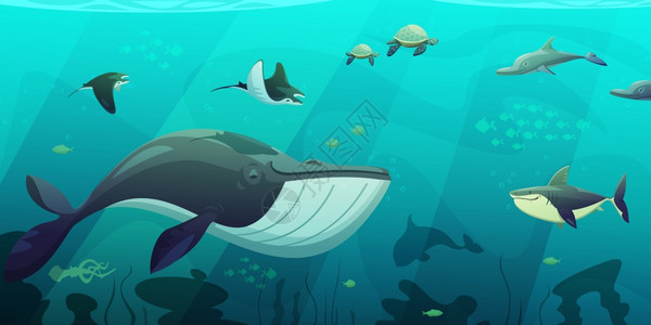 水下海洋生物抽象水下海洋活海宝平抽象与鲨鱼鱿鱼鱼海龟海藻平矢量插图图片