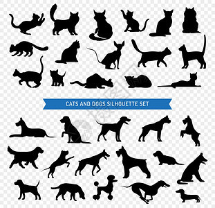 狗猫黑色剪影套装黑色剪影集同品种的狗猫透明背景矢量插图图片