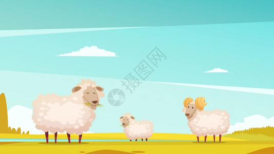 绵羊农田上放牧卡通海报国内绵羊育种饲养农场牧场趣的卡通海报与放牧公羊羔羊矢量插图图片