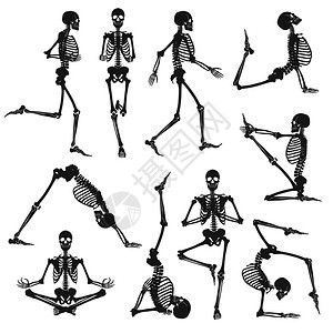 黑色人类骨骼背景人类骨骼黑色轮廓体操瑜伽体式孤立白色背景平矢量插图图片
