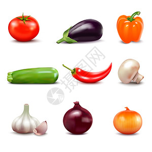 新鲜蔬菜图标套新鲜蔬菜,以逼真的风格与胡瓜,番茄,洋葱,黄瓜,辣椒,茄子,大蒜,蘑菇,图标矢量插图图片
