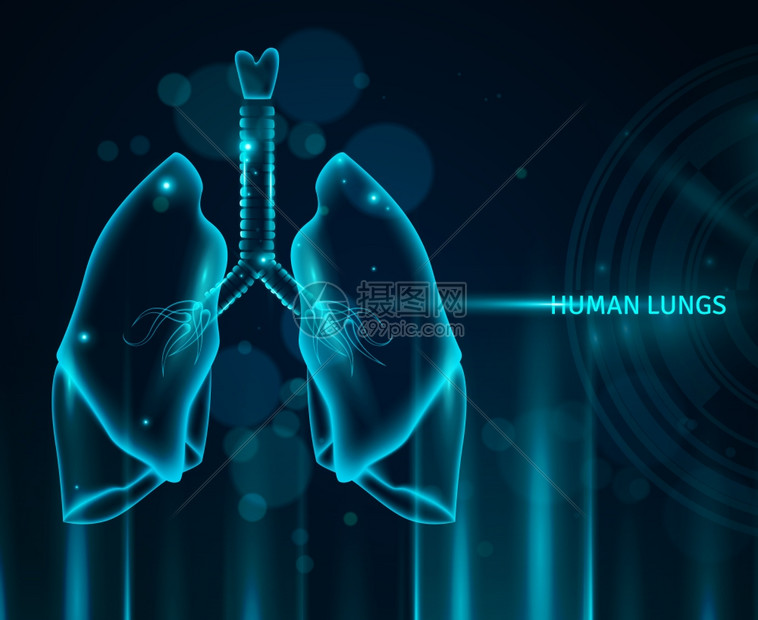 人类肺部背景透明的人肺蓝色背景与光效应Bokeh平矢量插图图片