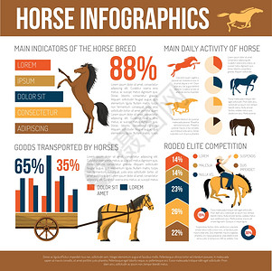马种信息图表平海报流行的马品种信息图表海报的特点用统计图表护理信息抽象平矢量插图图片
