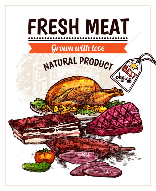 手绘见菜海报手绘满足菜肴海报与烤鸡牛排,牛肉蔬菜矢量插图图片