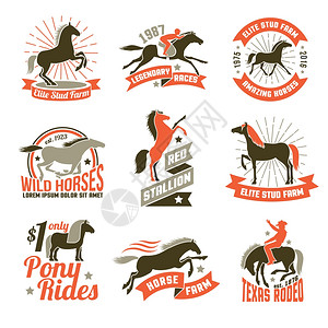 马匹育种标签标志集精英种马场,用于马匹育种赛马会,历史赛马,三种颜色的标志,收集矢量插图图片
